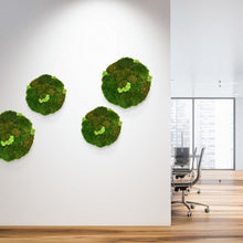 Moss Wall - Round